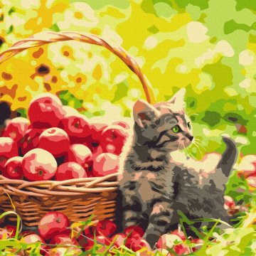 Apple cat