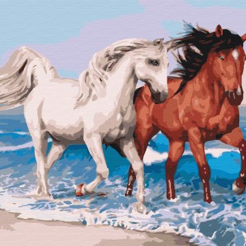Horses on the coast