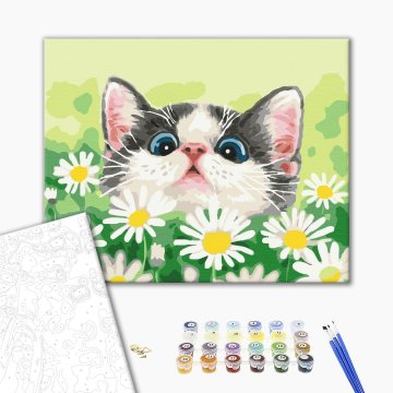 Cat in daisies