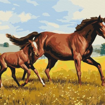 Family gallop