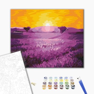 Sunrise over lavender
