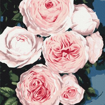 Boutons de rose luxuriants