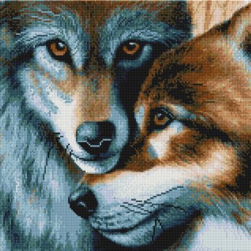 Wolf couple