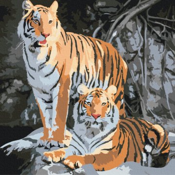 Wild tigers