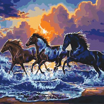 Herd of black horses