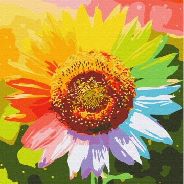 Rainbow sunflower