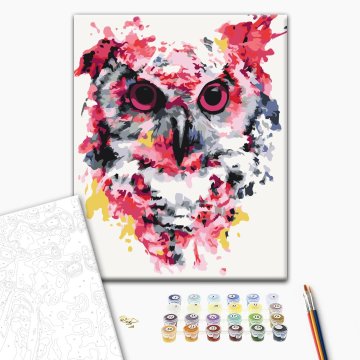 Owl in colors