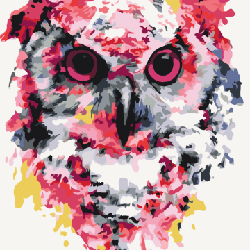 Hibou en couleurs