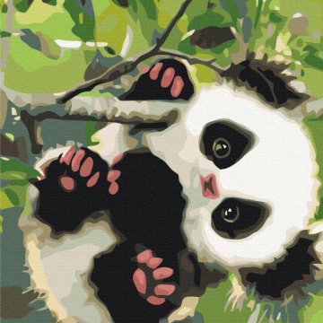 Speelse panda
