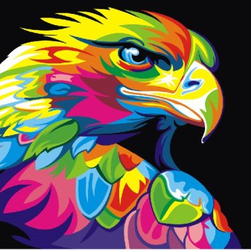 Rainbow eagle