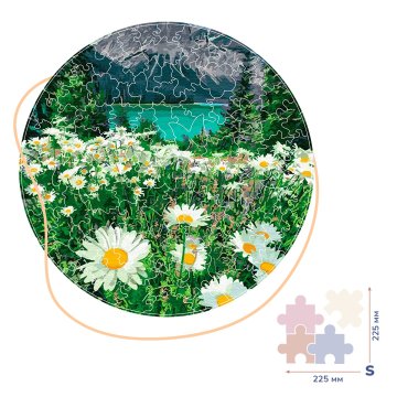 Daisies by the mountains (Size S)