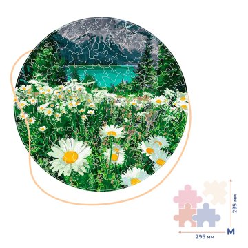 Daisies by the mountains (Size M)