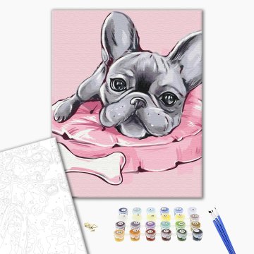 Favorite french bulldog