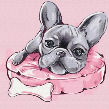 Favorite french bulldog