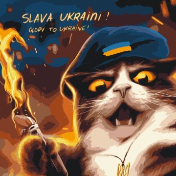 Котик повстанець ©Маріанна Пащук