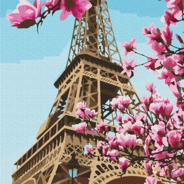 Sakura in Parijs