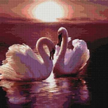 A pair of swans