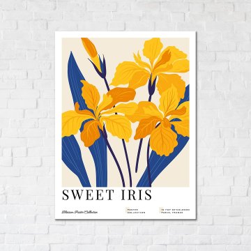 Sweet irises