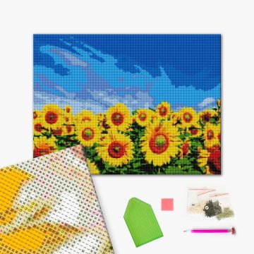 Field of sunflowers