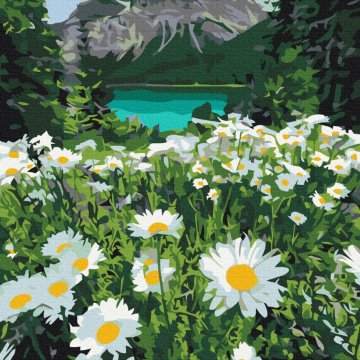 Daisies by the mountains