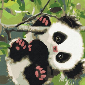 Speelse panda