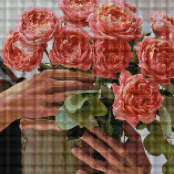 Un bouquet de roses pivoines