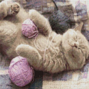 Een kitten met een garenbal