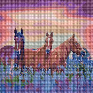 Horses on a flower field