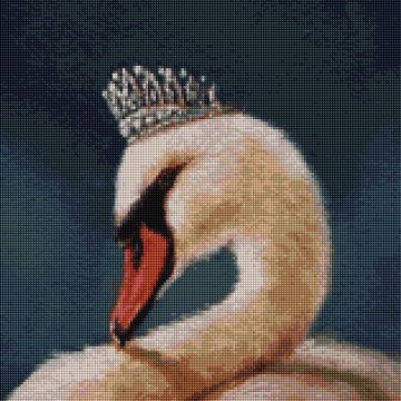 Swan princess ©Lucia Heffernan