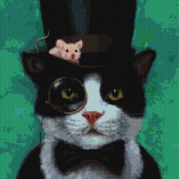 Tuxedo cat ©Lucia Heffernan