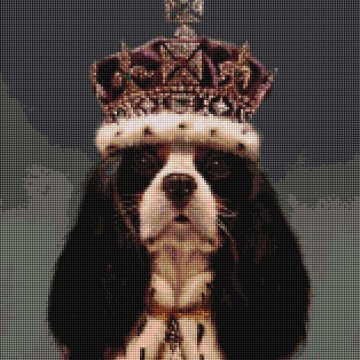 King Charles ©Lucia Heffernan