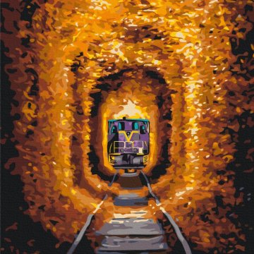 Tunel lásky a vlak © Sergiy Stepanenko