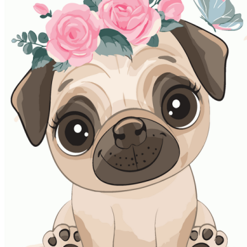 Cute pug