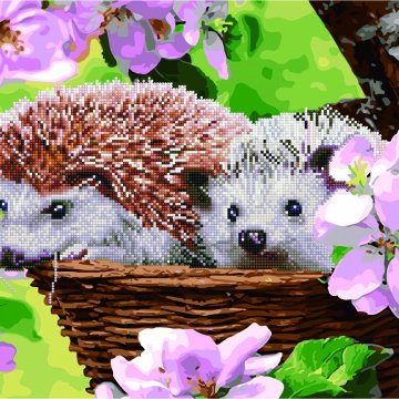 Hedgehogs in a basket