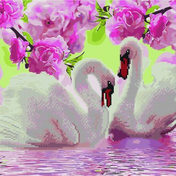 Swans in bloom