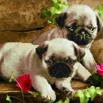 Little pugs