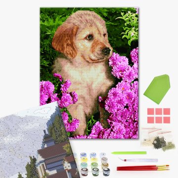 Labrador puppy in flowers