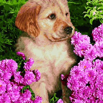 Labrador puppy in flowers