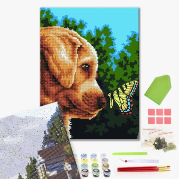 Labrador and butterfly