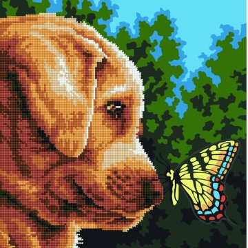 Labrador and butterfly