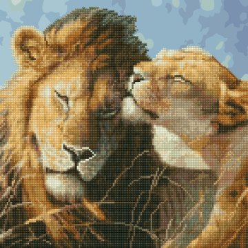 The lion's love