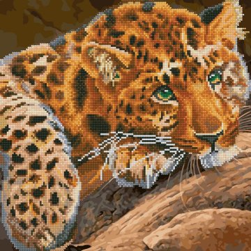 Green-eyed leopard