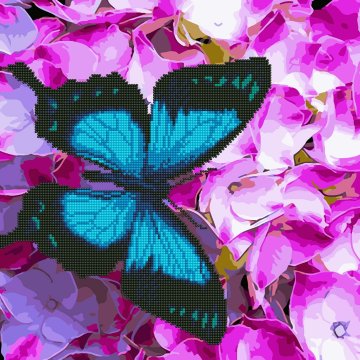 Butterfly on flowers