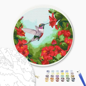 Hummingbird (rozmiar M)
