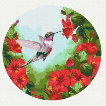 Hummingbird (Size M)