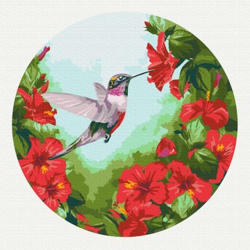 Kolibri (Größe L)