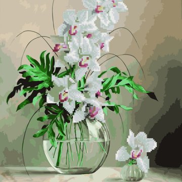 Orchids in a vase