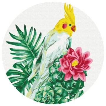 Tropische papegaai (Maat M)