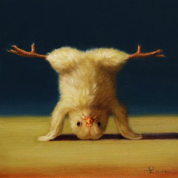 Yoga-Küken Dreibein-Kopfstand weit gespalten ©Lucia Heffernan