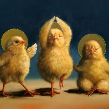 Duchowe kurczaki ©Lucia Heffernan